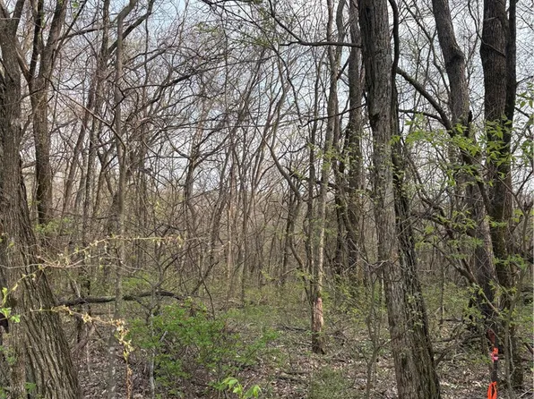 Lots 169 170 171 Huckleberry Cir #169, Garfield, AR 72732