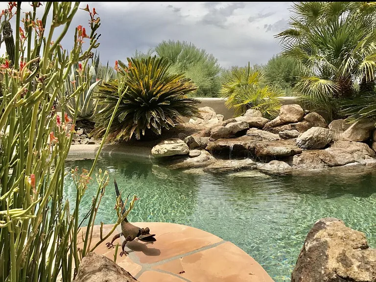 7800 E Boulders Pkwy #1 — Photo 30