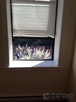 Rented by Oxford Property Group | media 29