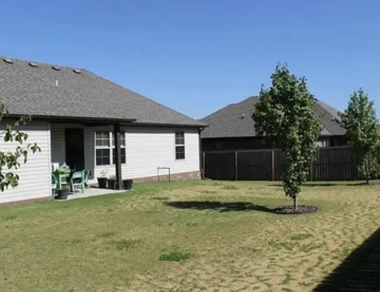 Back Yard #1