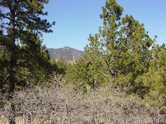View of Blodgett Peak!