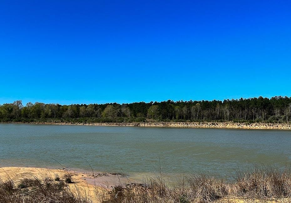 65 Vick Spring Rd, New Waverly, TX 77358 MLS 13433495 Zillow