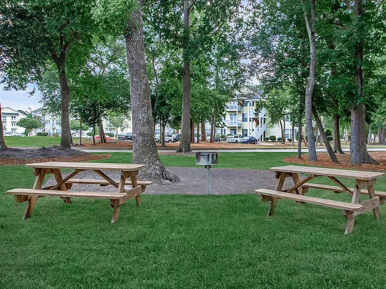 Tesla Park — Photo 14