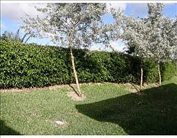 1st image of 10937 Deer Park Ln