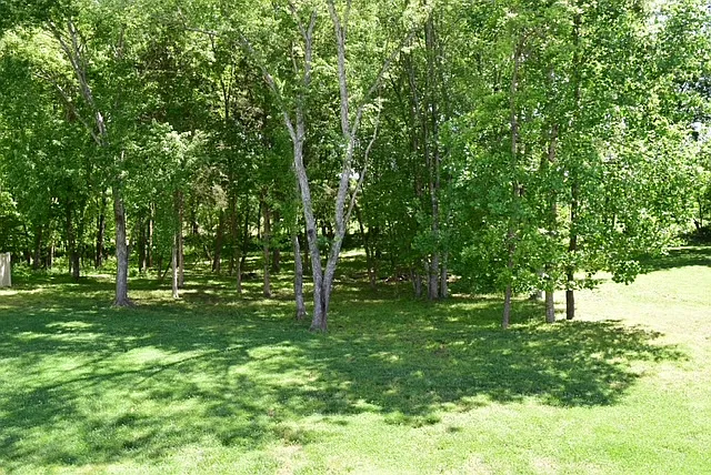 1333 Morning Star Dr — Photo 3