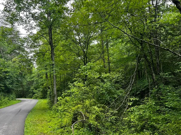 9999 Bear Hollow Rd, Rockholds, KY 40759