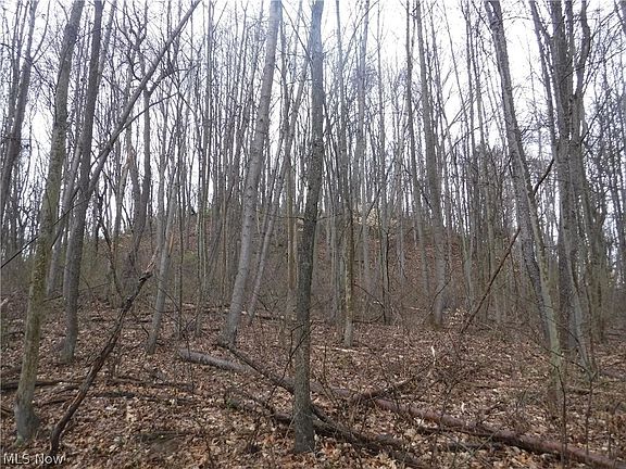 4th image of 162 Township Rd