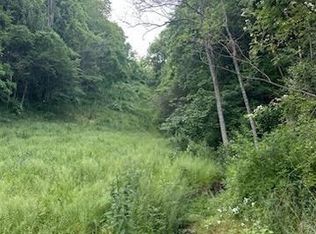 Sarchets Run Rd, Cambridge, OH 43725