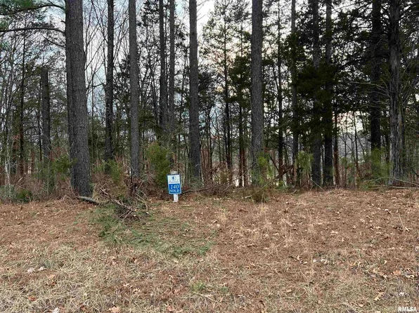 LOT 140 Cherry Point, Goreville, IL 62939