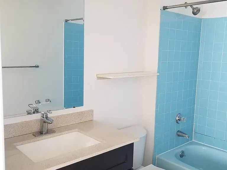 Master Bedroom Bathroom