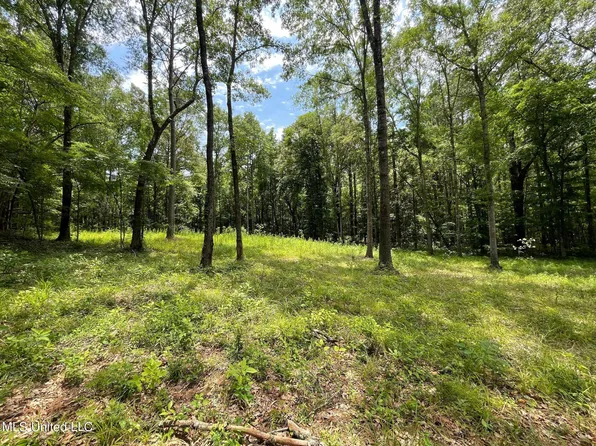 4049 Highway 16 E, Canton, MS 39046