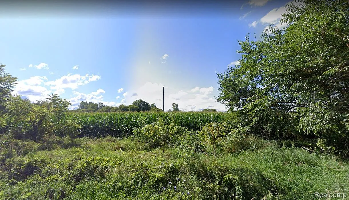 Steinacker Rd photo 1