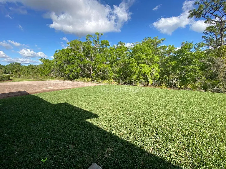 12975 Wildflower Meadow Dr — Photo 21