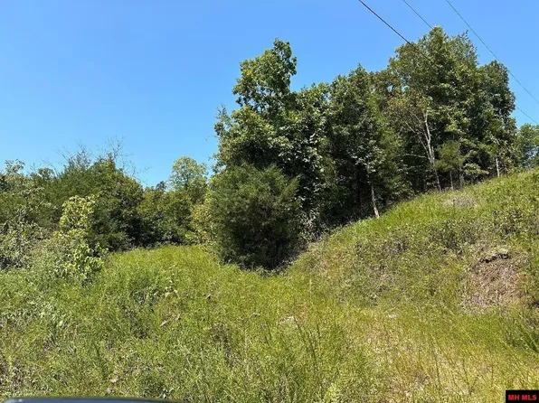 103 Pup Manor Ln, Pyatt, AR 72672