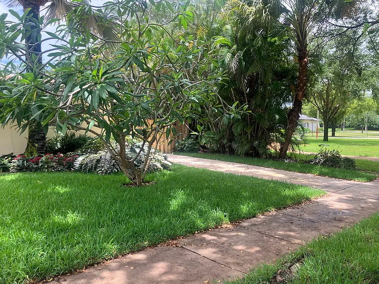 New lawn and landscaping