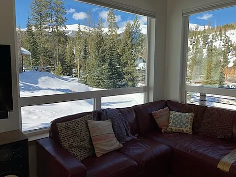 views from living room