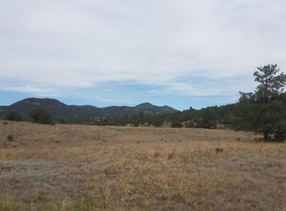 673 Iron Mountain Rd #1, Cotopaxi, CO 81223