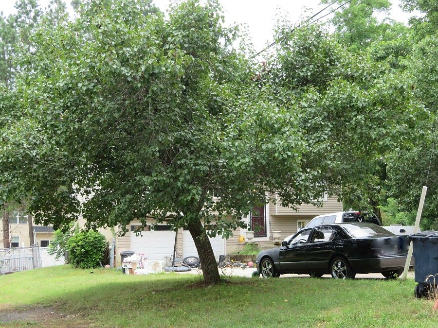 12707 Duckettown Rd, Laurel, MD 20708 Zillow