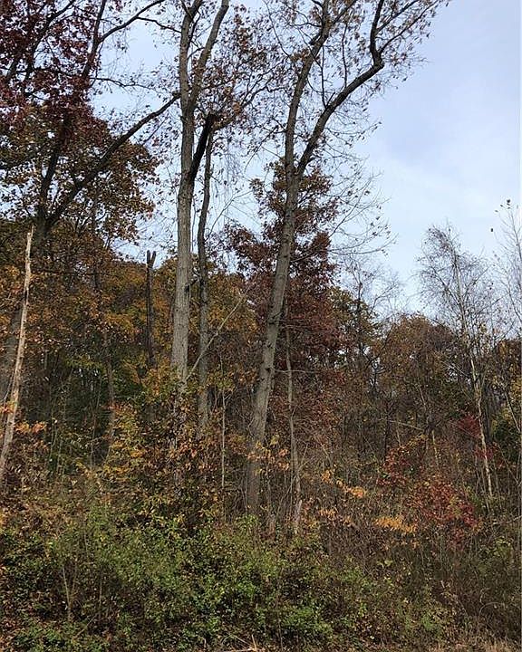 1st image of Youngstown Lowellville Rd
