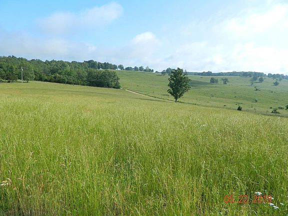 Rural Green Front Pasture