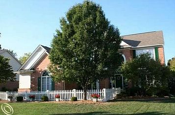 1st image of 16894 Abby Cir