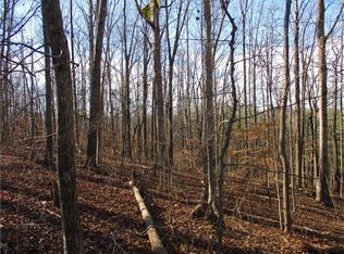 Lake View Pte, Gainesville, GA 30506