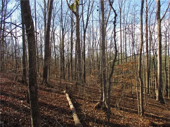 Lake View Pte, Gainesville, GA 30506