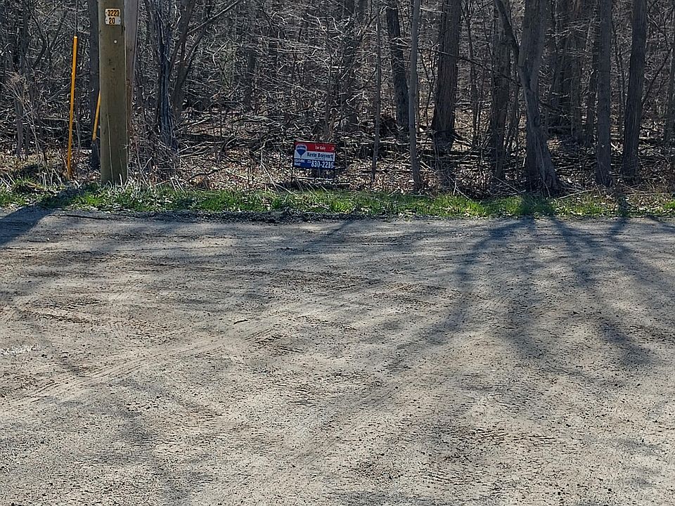 2nd image of Vl Wolf Lake 10acre Rd