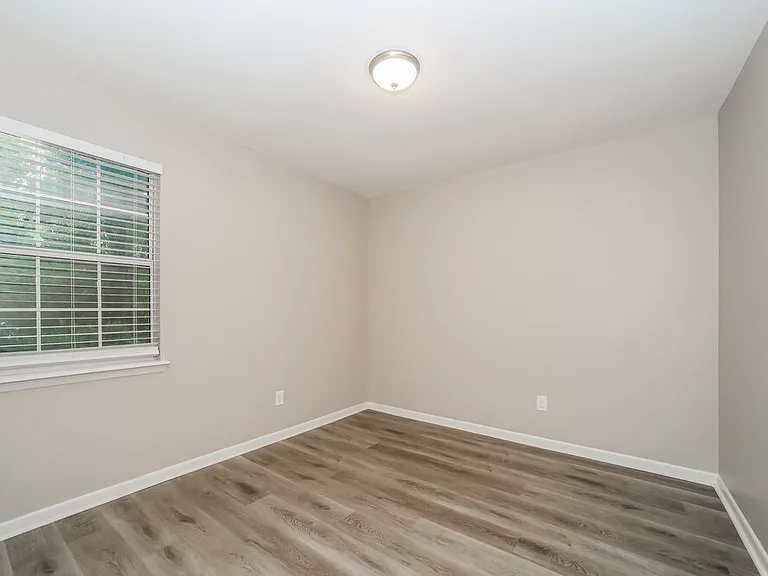 4782 Cinnamon Fern Dr — Photo 10