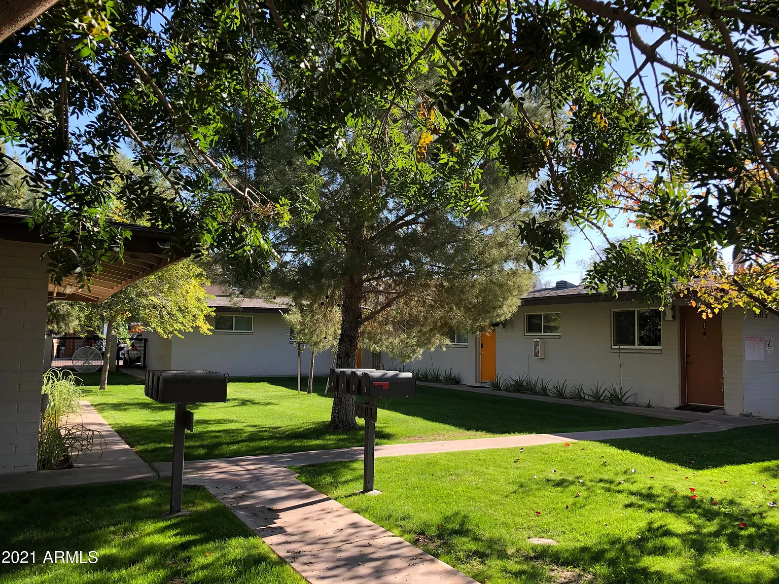 1 bed, 600 sqft, $1,295 — Photo 3