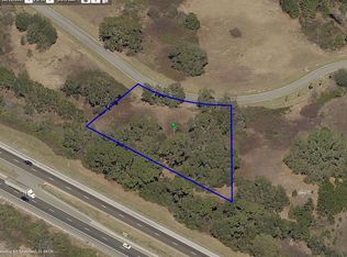460 Long And Winding Rd, Howey In The Hills, FL 34737