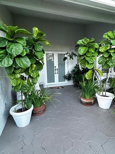 13850 SW 108th St, Miami, FL, 33186