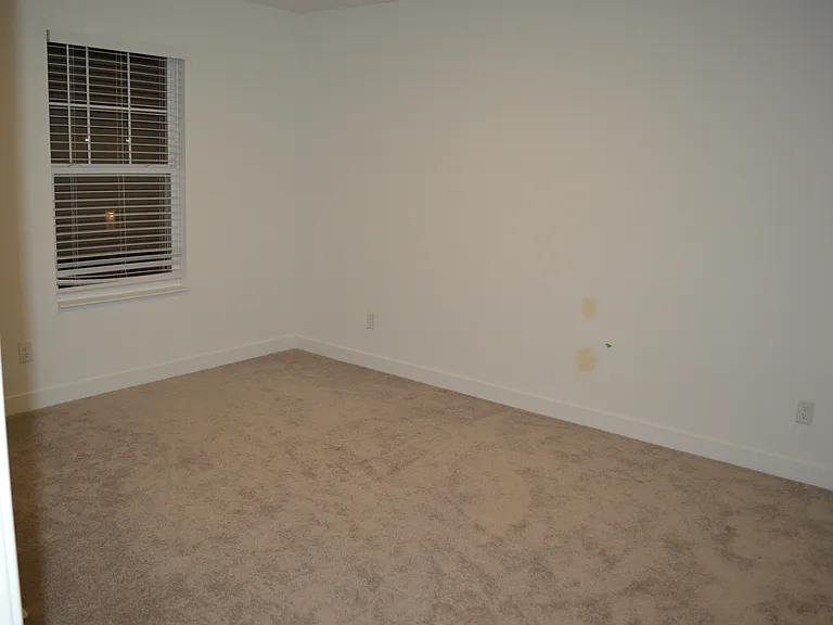 4379 Risen Star Way — Photo 47
