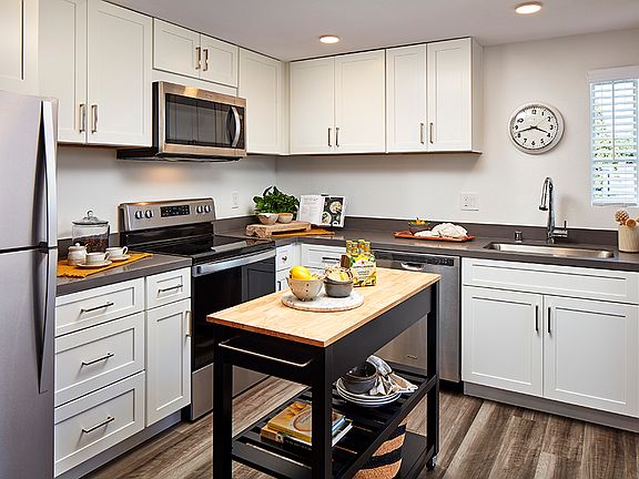 Stainless steel appliances, quartz countertop and farmhouse sink