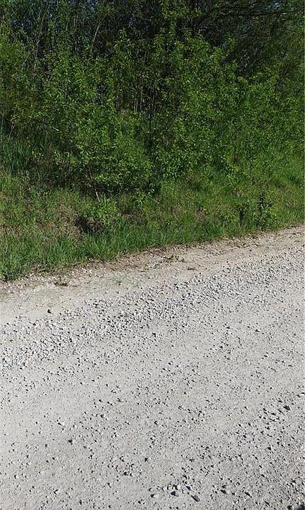 2nd image of Rock Falls Rd