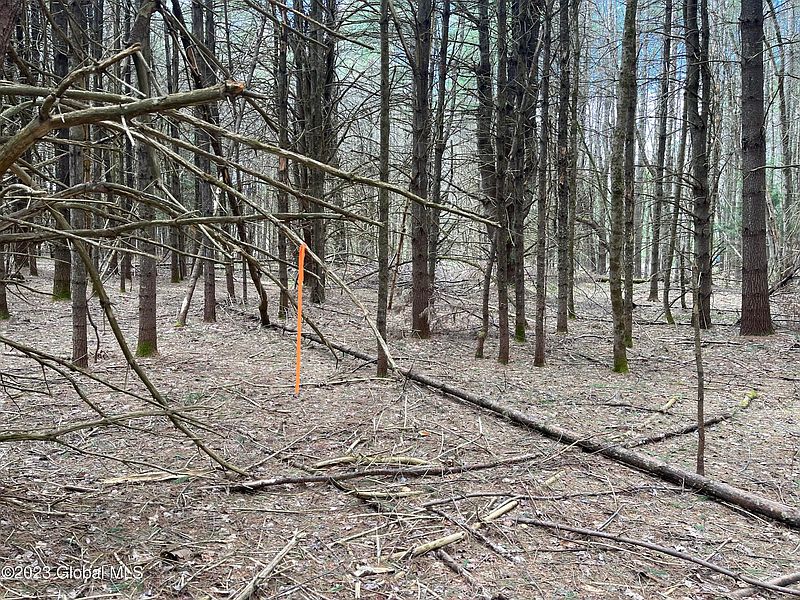2nd image of 00 Partridge Rd