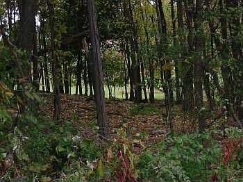 5th image of 3359 Raymond Ln