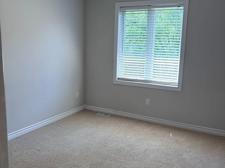 15 Summerfield Dr — Photo 19