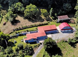 203 Green Ln, Powell, TN 37849