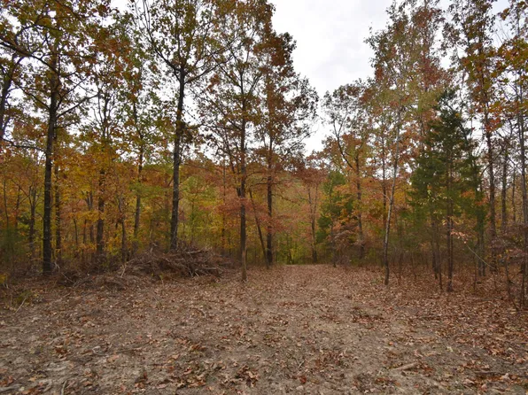 0 Highway 412 W Lot 113, Linden, TN 37096