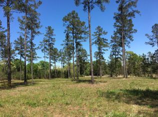 2 Morgan Mill Rd, Brantley, AL 36009