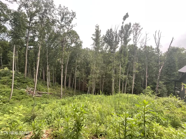 2609 Whipoorwill Hill Way, Sevierville, TN 37862