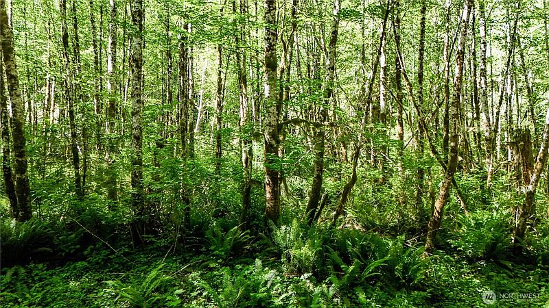 2nd image of 99993 Dowans Creek Road