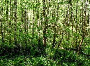 99993 Dowans Creek Road, Forks, WA 98331