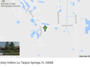 1086 Misty Hollow Ln, Tarpon Springs, FL 34688