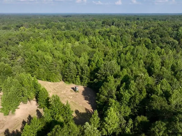 1 Moore Rd, Edwards, MS 39066