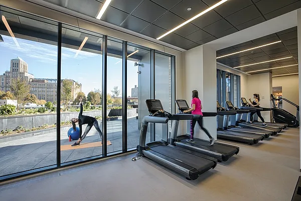 Rented by Gotham Organization | media 33