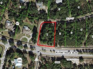 3385 W Pine Ridge Blvd, Beverly Hills, FL 34465