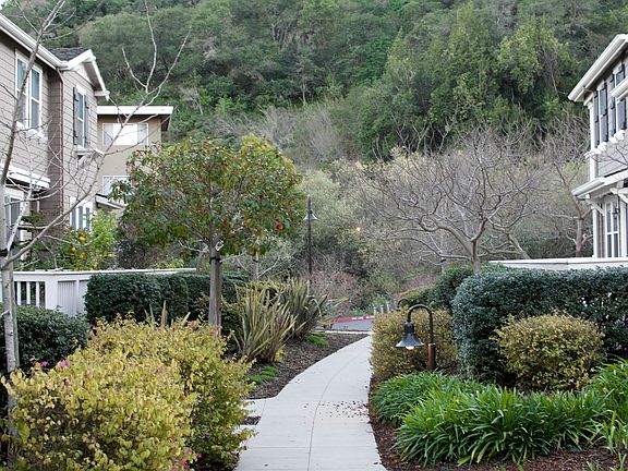 Beautiful landscaping