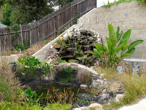 Koi pond with waterfall